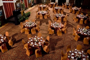 Cappuccino Theme - Spandex Table & Chair Covers