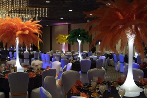 Chair Cover and Accent Bands - Banquet Hall