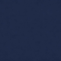 Navy Linen (V)