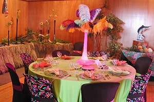 Theme Party - Spandex Chair Covers