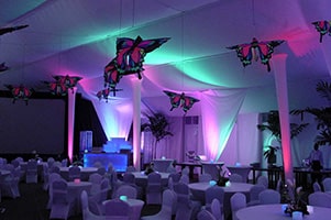 Night Event - Spandex Table & Chair Covers