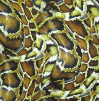 Animal Print Snake Spandex Covers AP-936