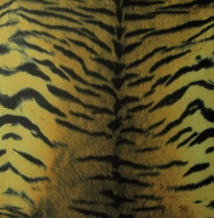 Animal Print Tiger Spandex Covers AP-1047