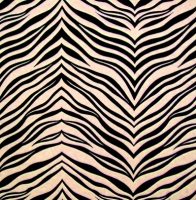 Animal Print Zebra Spandex Covers APUS-369