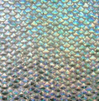 Hologram Mermaid Fishscale Spandex Covers H-2621