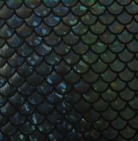 Hologram Mermaid Fishscale Spandex Covers H-2352