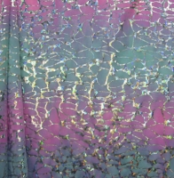 Hologram Ombre Web Spandex Covers H-1036