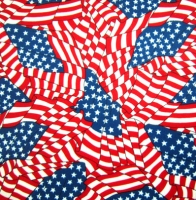 Printed Flag Spandex Covers PS-6449