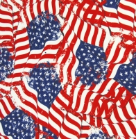 Printed Flag Spandex Covers PSF-6923